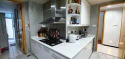 Cairnhill Crest (D9), Condominium #302268871